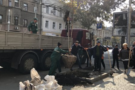 Депутаты горсовета провели в Одессе субботник (фото)