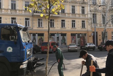 Депутаты горсовета провели в Одессе субботник (фото)
