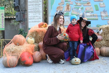 В Одесском зоопарке отметили День тыквы (фото)