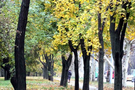 Красивый и ужасный парк Савицкого (фоторепортаж)