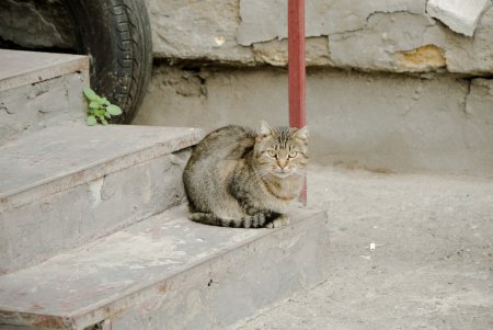 Колоритные дворы Пересыпи (фоторепортаж)