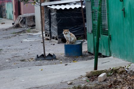 Колоритные дворы Пересыпи (фоторепортаж)