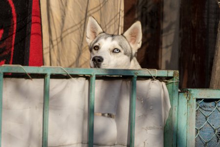 Колоритные дворы Пересыпи (фоторепортаж)