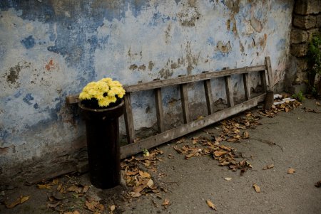 Колоритные дворы Пересыпи (фоторепортаж)