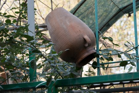 Колоритные дворы Пересыпи (фоторепортаж)