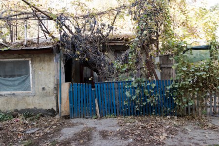 Колоритные дворы Пересыпи (фоторепортаж)