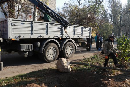 На одесских Черемушках высадили новые деревья (фото)