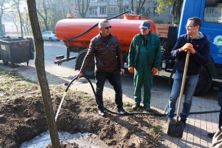 На одесских Черемушках высадили новые деревья (фото)