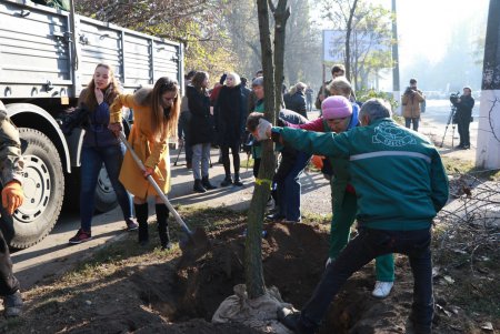 На одесских Черемушках высадили новые деревья (фото)