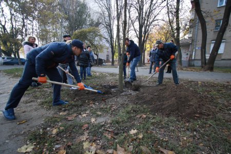 На одесских Черемушках высадили новые деревья (фото)