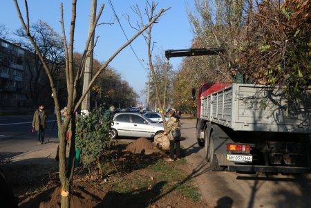На одесских Черемушках высадили новые деревья (фото)