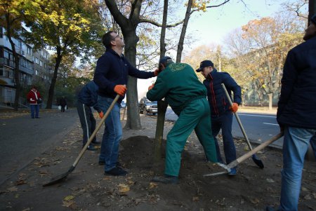 На одесских Черемушках высадили новые деревья (фото)