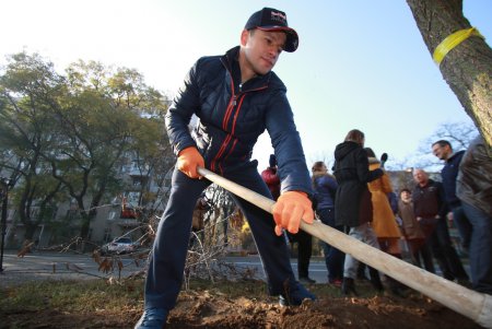 На одесских Черемушках высадили новые деревья (фото)