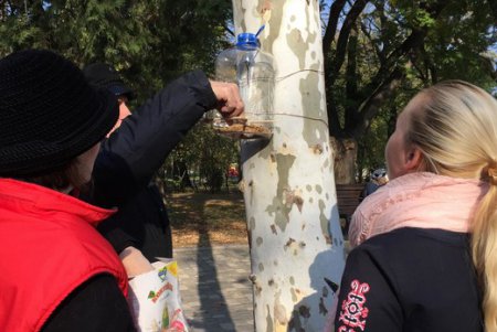 В одесском парке прошла акция «Давай покормим птиц» (фото)