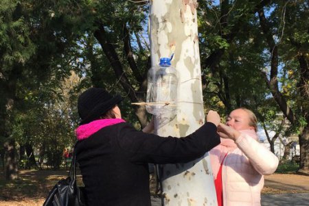 В одесском парке прошла акция «Давай покормим птиц» (фото)