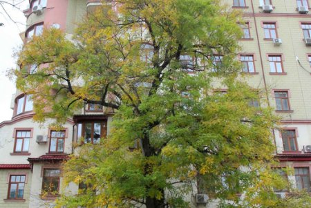 Прогулка по улице Польской (фоторепортаж)