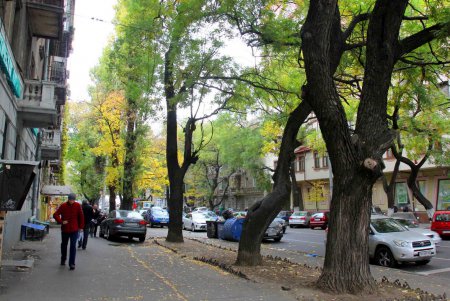 Прогулка по улице Польской (фоторепортаж)