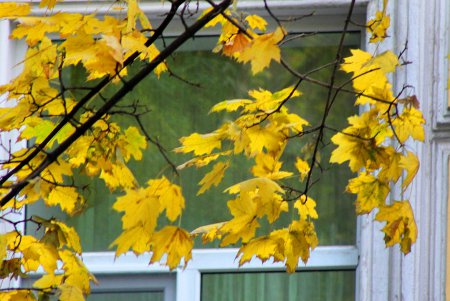 Прогулка по улице Польской (фоторепортаж)
