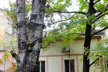 Прогулка по улице Польской (фоторепортаж)