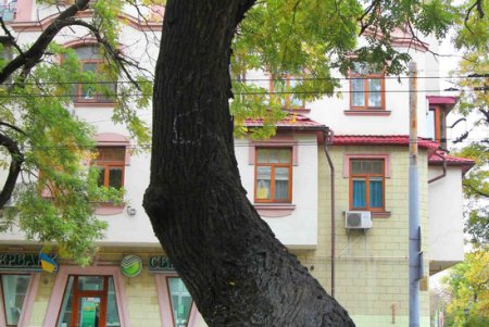 Прогулка по улице Польской (фоторепортаж)