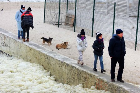 Ноябрьское море: пена прибоя, свежий воздух и неимоверные пейзажи (фоторепортаж)