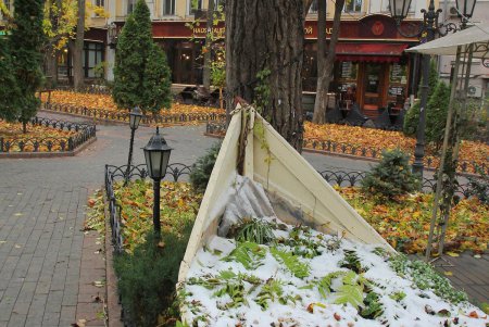 Осеннее очарование Одесского Городского сада (фоторепортаж)