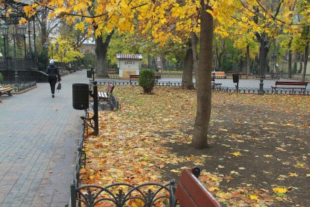 Осеннее очарование Одесского Городского сада (фоторепортаж)