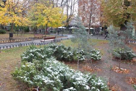 Осеннее очарование Одесского Городского сада (фоторепортаж)