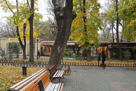 Осеннее очарование Одесского Городского сада (фоторепортаж)