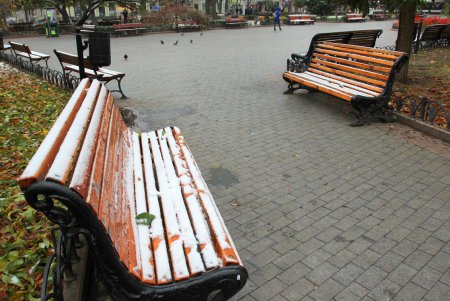 Осеннее очарование Одесского Городского сада (фоторепортаж)