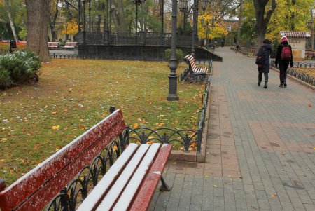 Осеннее очарование Одесского Городского сада (фоторепортаж)