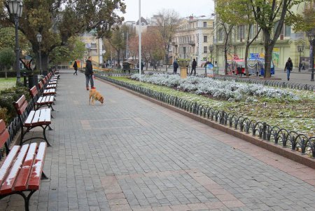 Осеннее очарование Одесского Городского сада (фоторепортаж)