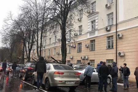 На улице Семинарской дерево упало на припаркованные авто (фото)