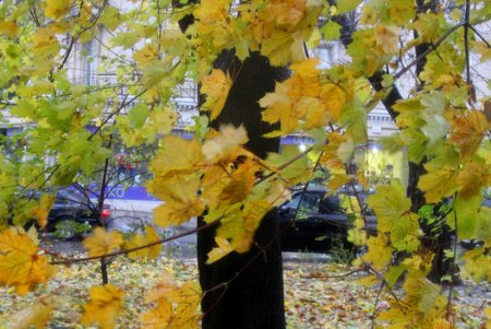 В Одессе разбушевалась непогода (фоторепортаж)