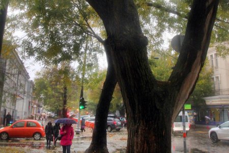 В Одессе разбушевалась непогода (фоторепортаж)