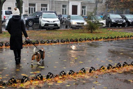В Одессе разбушевалась непогода (фоторепортаж)