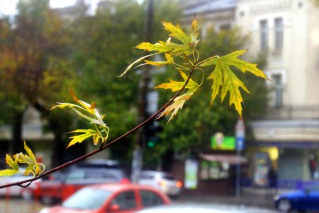 В Одессе разбушевалась непогода (фоторепортаж)