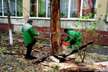 Коммунальщики Одессы ликвидируют последствия удара стихии (фото)