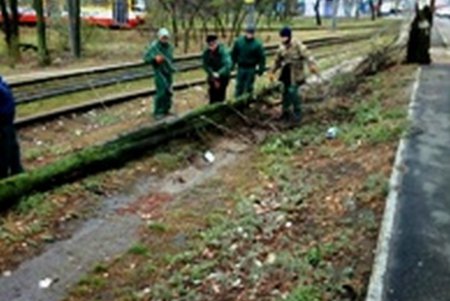 Коммунальщики Одессы ликвидируют последствия удара стихии (фото)