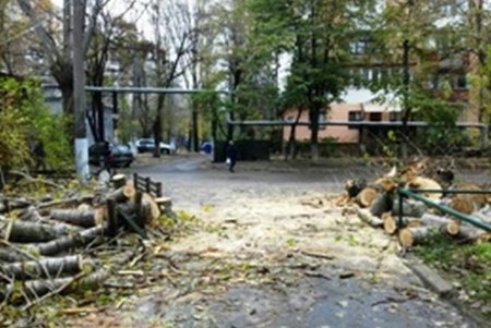 Коммунальщики Одессы ликвидируют последствия удара стихии (фото)