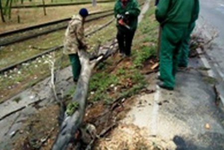 Коммунальщики Одессы ликвидируют последствия удара стихии (фото)