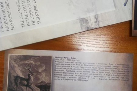 В Одессе оцифруют уникальные гравюры 16-19 веков (фото)