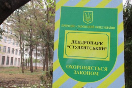 На территории одесского техникума незаконно вырубили деревья (фото)