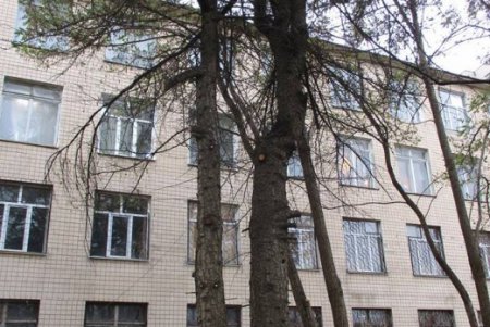 На территории одесского техникума незаконно вырубили деревья (фото)