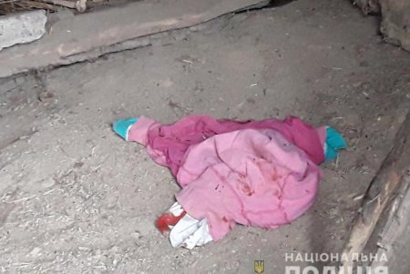 Сначала убил, потом изнасиловал: полиция обнародовала подробности убийства ребенка (фото, видео)