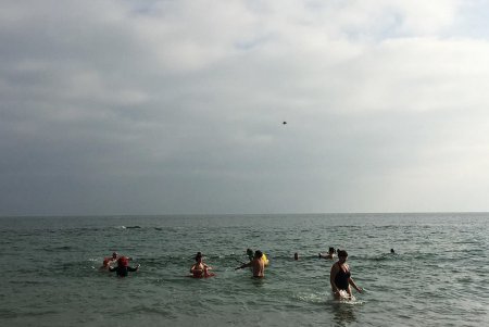 Одесситы отметили международный День моржа (фото, видео)