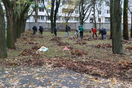 Одесские депутаты и общественники провели субботник в интернате для слепых (фото)