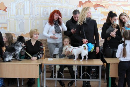 В одесской школе прошла выставка домашних животных (фото)