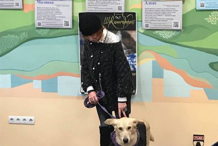 «Не за глаза, а за душу»: открытие фотовыставки, посвященной спасенным животным (фото)