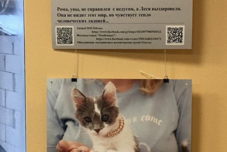 «Не за глаза, а за душу»: открытие фотовыставки, посвященной спасенным животным (фото)